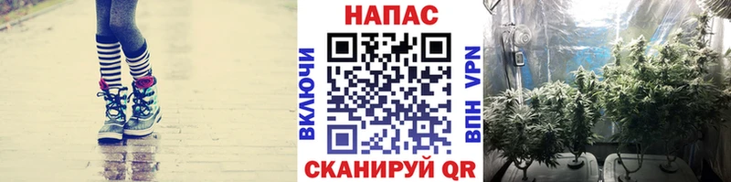 Наркота Челябинск Бошки Шишки МДМА ГАШ Галлюциногенные грибы