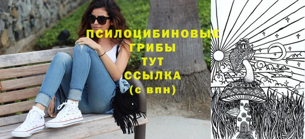 spice Пестово