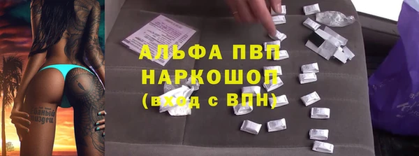 spice Пестово