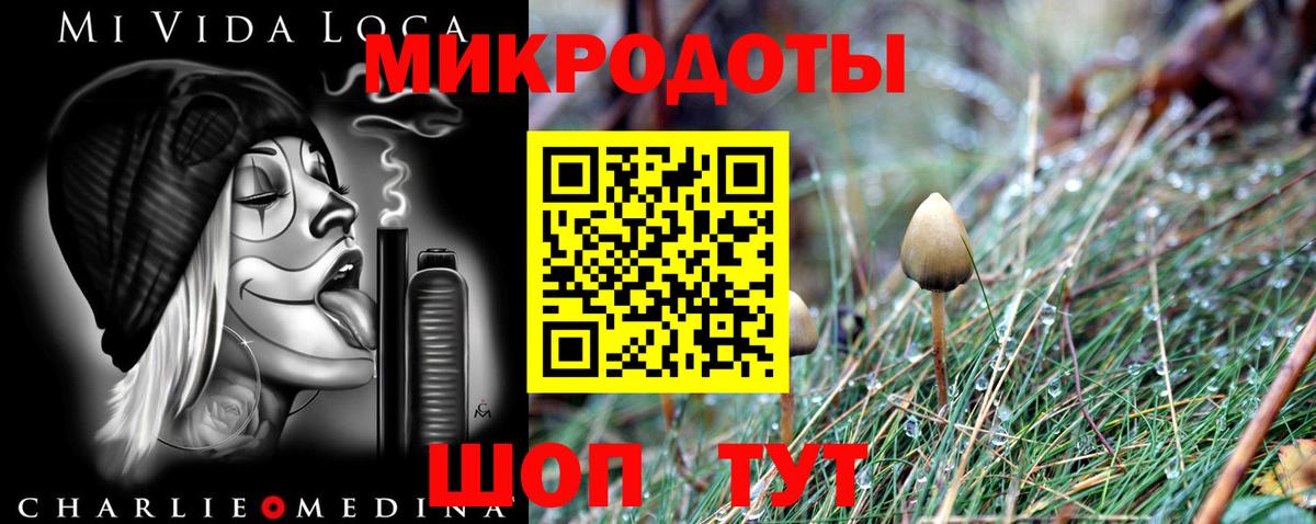 Челябинск  Галлюциногенные грибы MAGIC MUSHROOMS  Вход с VPN 